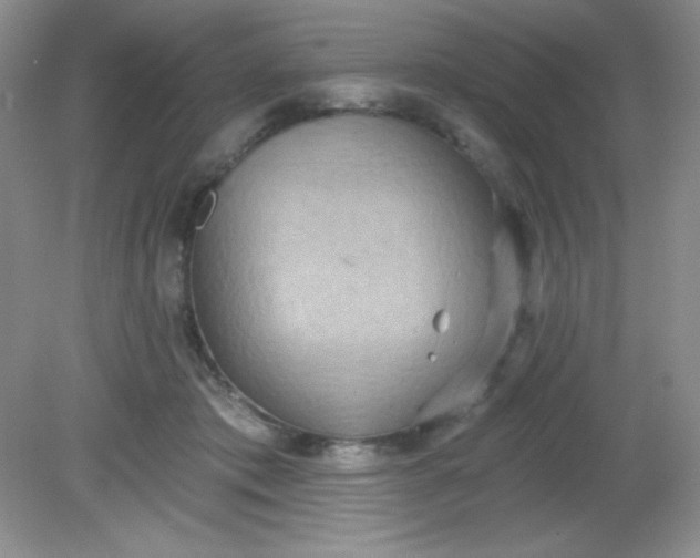 X0000081600413200701291406