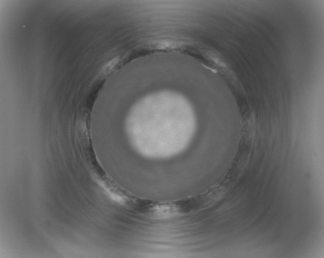 X0000081600415200701291406