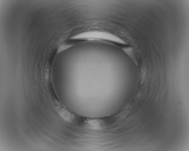 X0000081600417200701291406