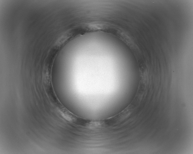 X0000081600418200701291406