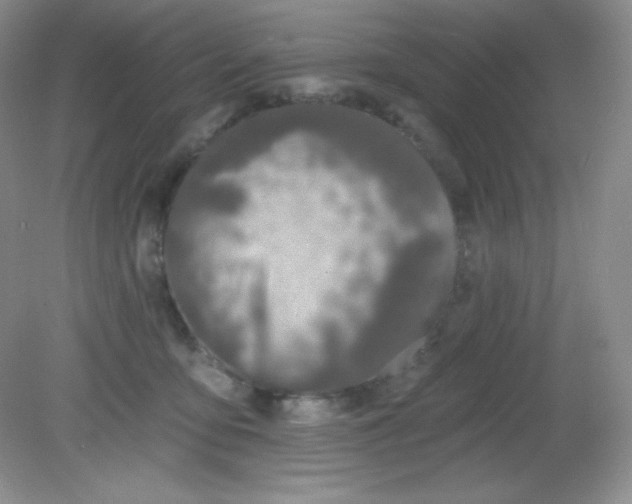 X0000081600419200701291406