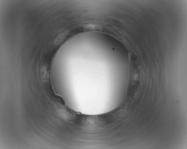 X0000081600420200701291406