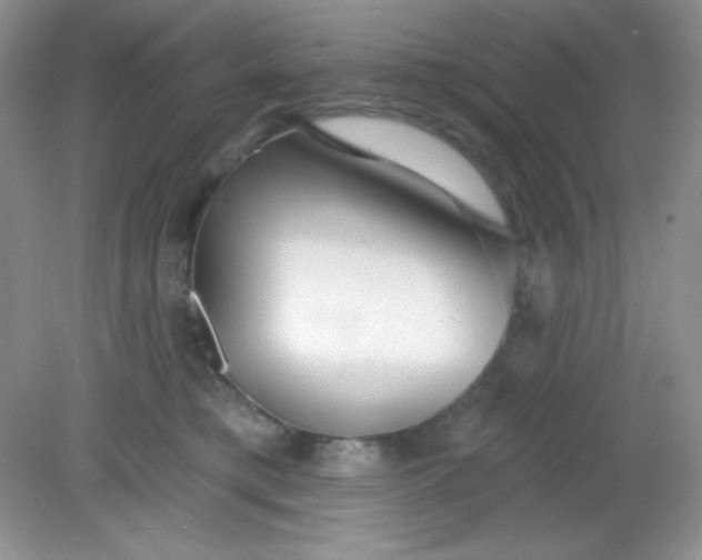 X0000081600421200701291406