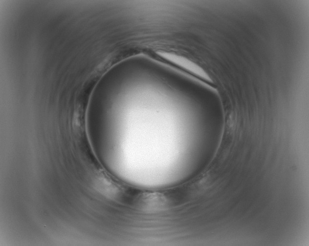 X0000081600424200701291406