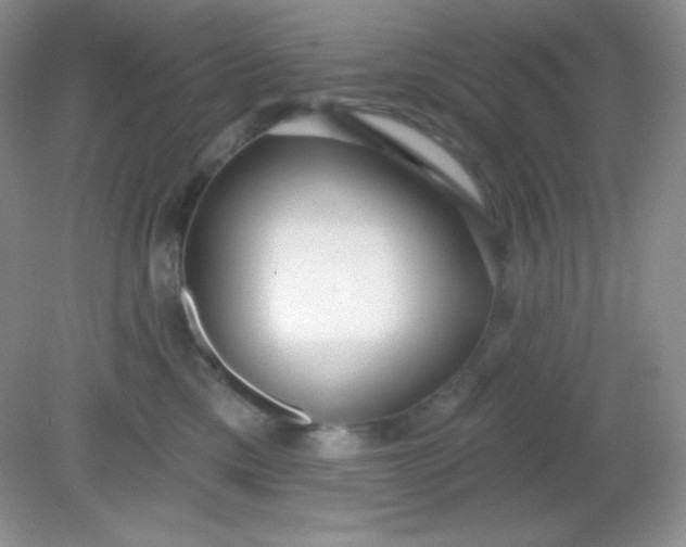 X0000081600425200701291406