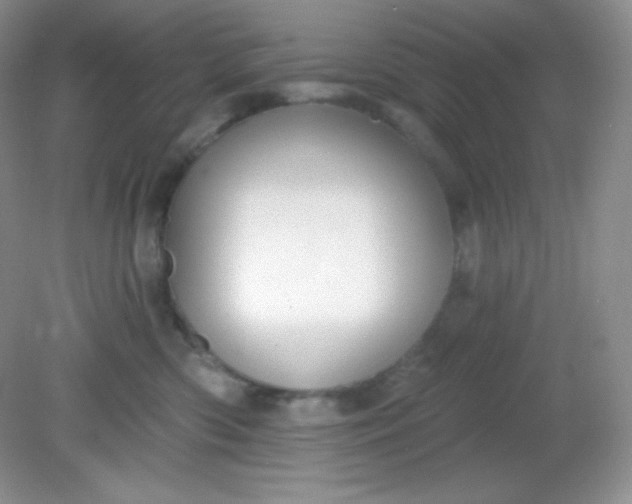 X0000081600426200701291406