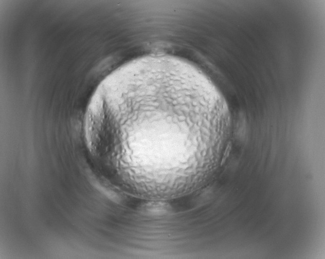 X0000081600427200701291406