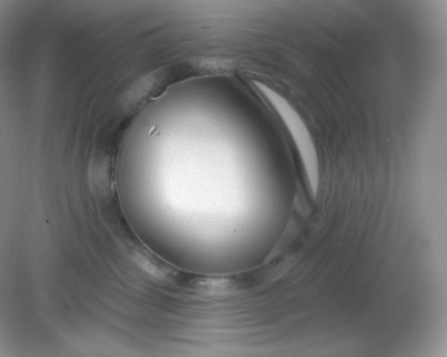 X0000081600428200701291406