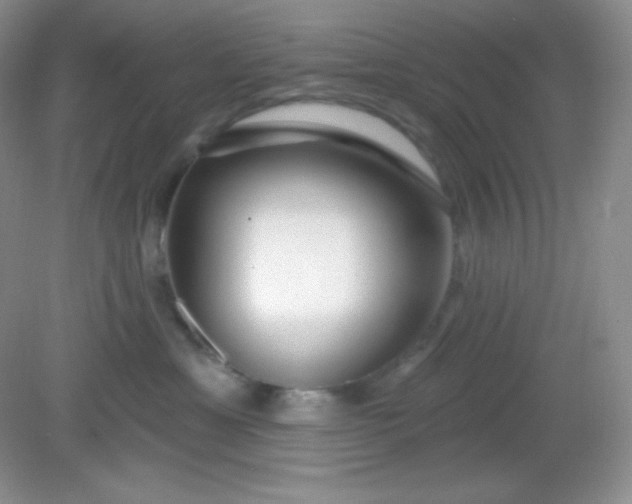 X0000081600429200701291406