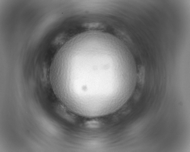 X0000081600430200701291406