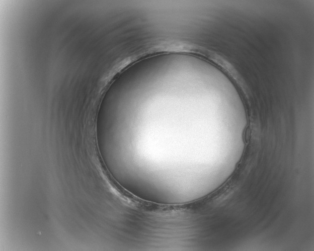 X0000081600433200701291405