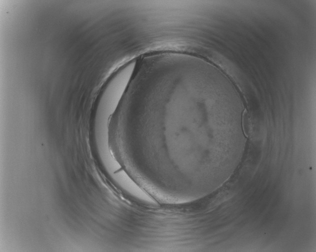 X0000081600434200701291405