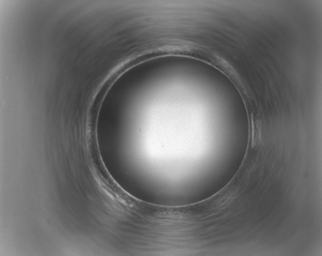 X0000081600435200701291405