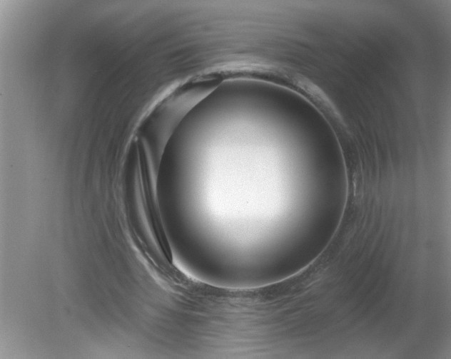 X0000081600436200701291405