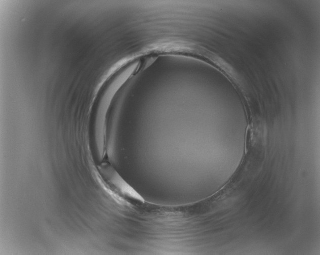 X0000081600438200701291405