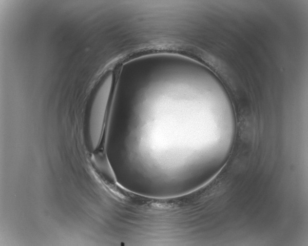 X0000081600442200701291405