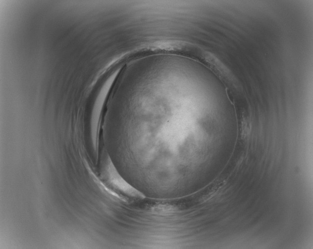 X0000081600444200701291405