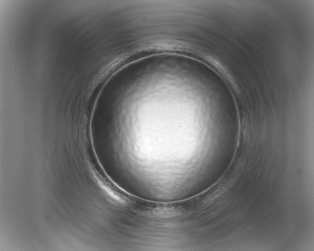 X0000081600445200701291405