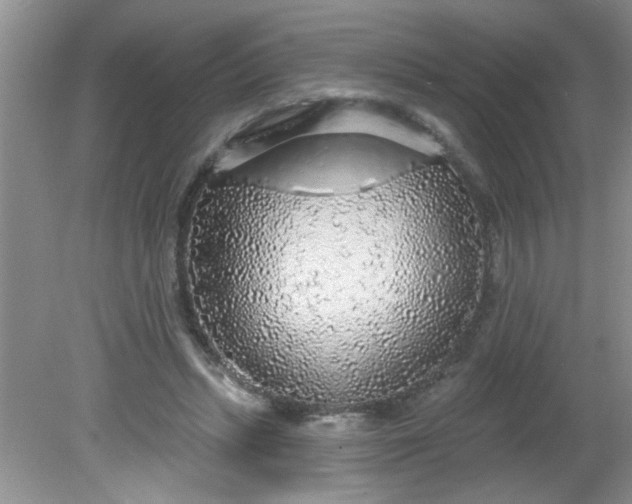 X0000081600447200701291405