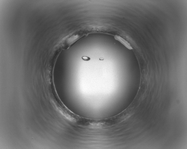 X0000081600450200701291405