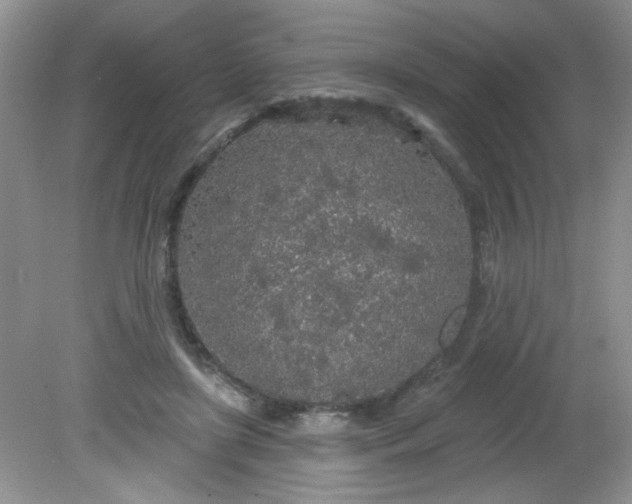 X0000081600451200701291405