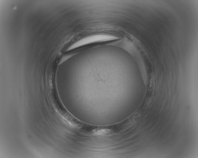 X0000081600452200701291405