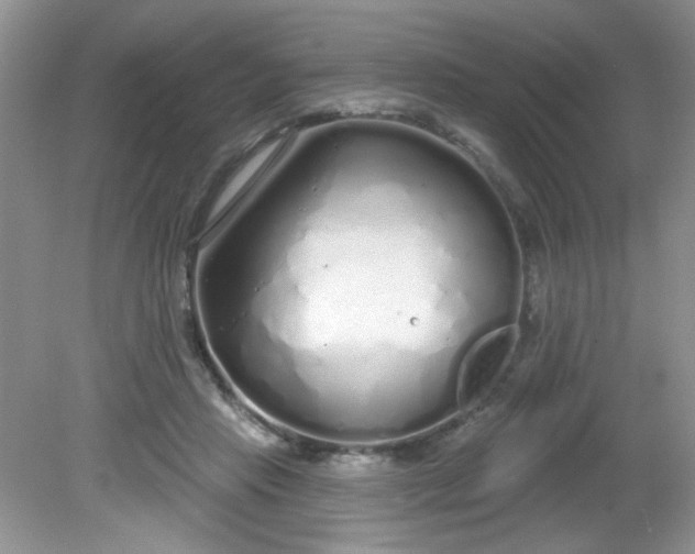 X0000081600453200701291405