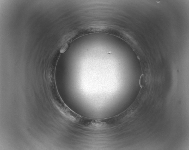 X0000081600455200701291405