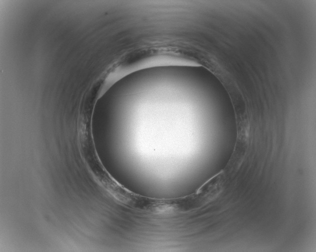 X0000081600456200701291405