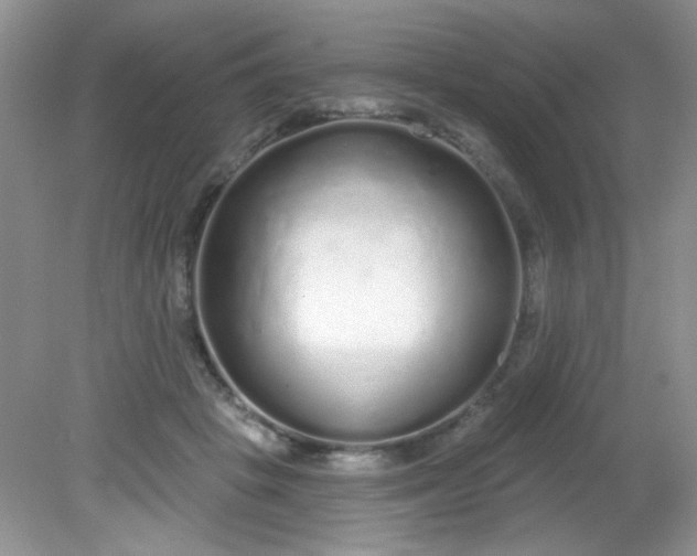 X0000081600457200701291406