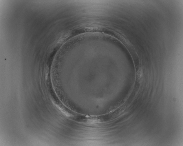 X0000081600458200701291406