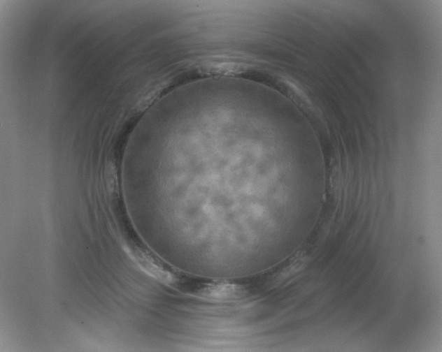 X0000081600459200701291406