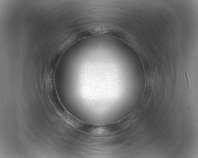 X0000081600460200701291406