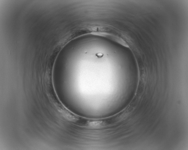 X0000081600461200701291406