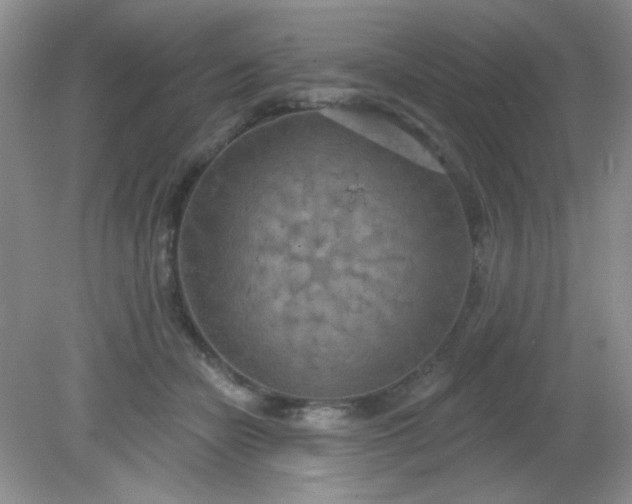 X0000081600462200701291406