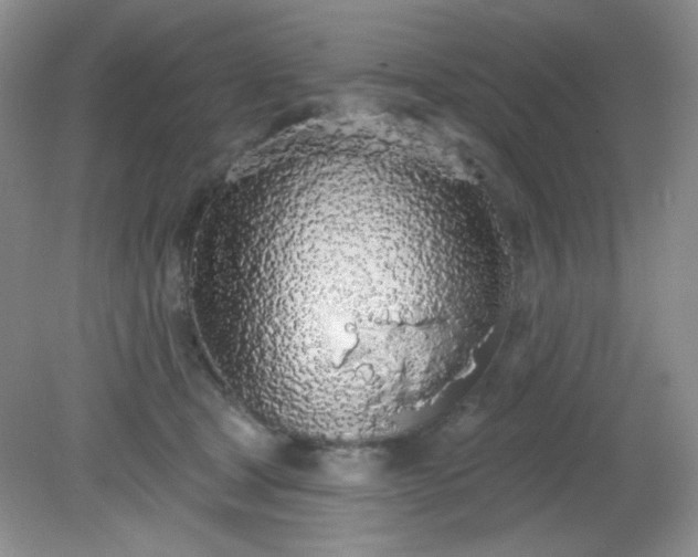 X0000081600465200701291406