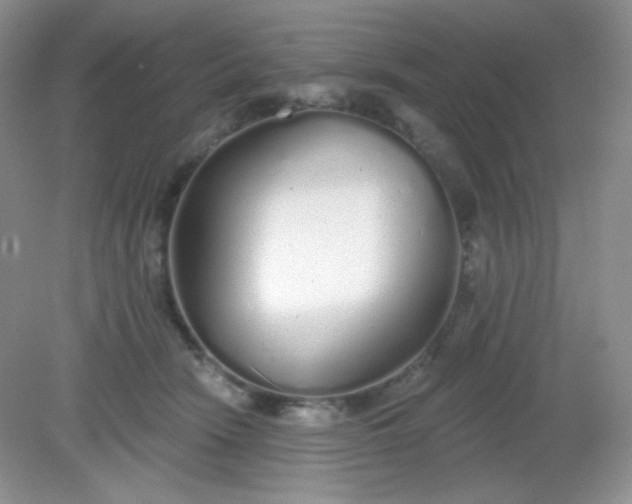 X0000081600466200701291406