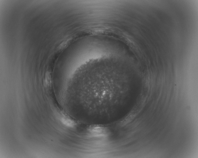 X0000081600467200701291406