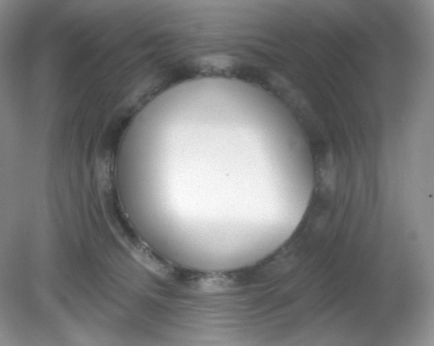 X0000081600468200701291406