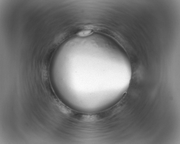 X0000081600469200701291406