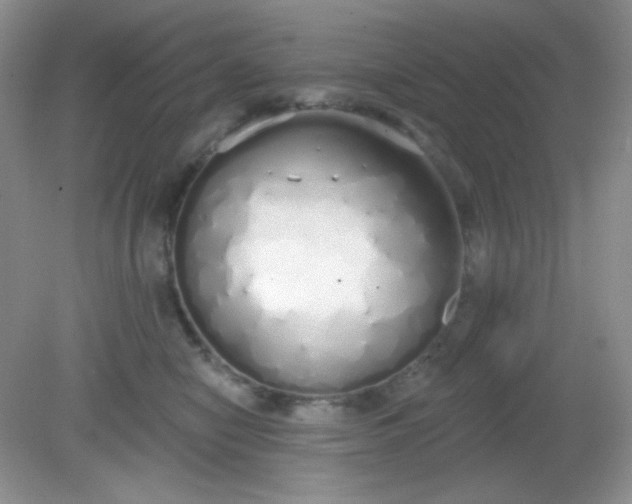 X0000081600470200701291406