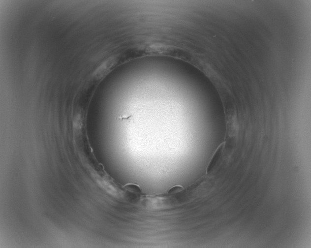 X0000081600472200701291406