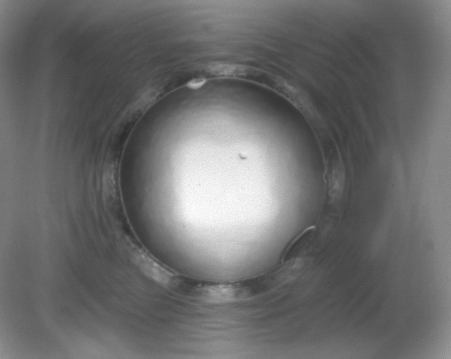 X0000081600473200701291406