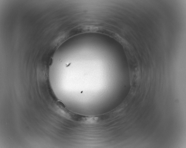 X0000081600474200701291406