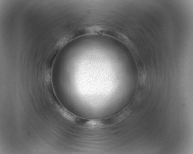 X0000081600477200701291406