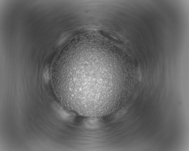 X0000081600479200701291406