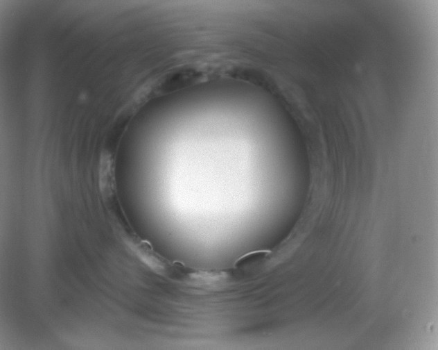 X0000081600480200701291406