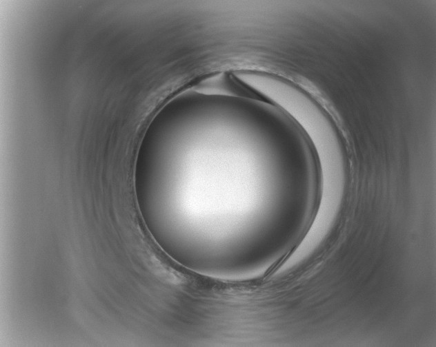 X0000081600481200701291405