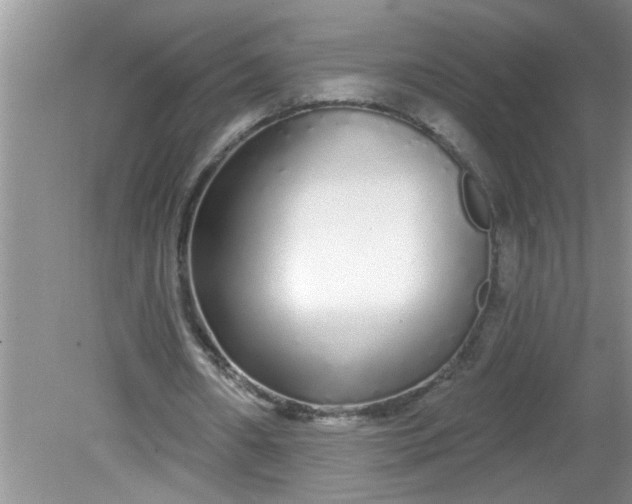 X0000081600482200701291405