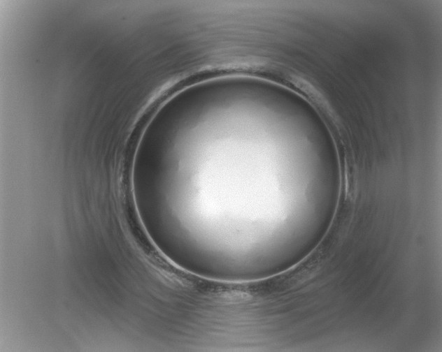 X0000081600483200701291405